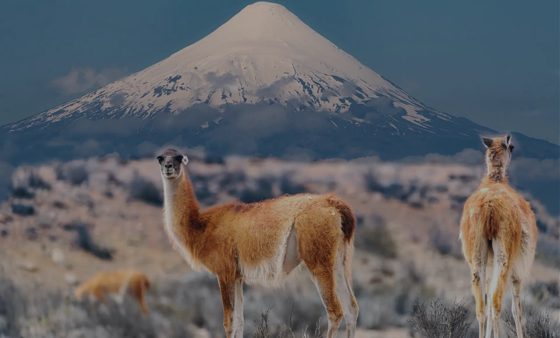 Imagenes Slider